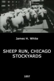 Image Sheep Run, Chicago Stockyards