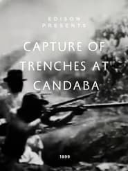 Image Capture of Trenches at Candaba