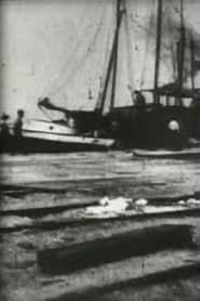 Image Bird's-Eye View of Dock Front, Galveston 1900