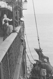 Embarquement d'un bœuf à bord d'un navire 1899 streaming