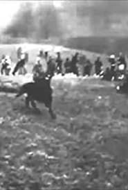 Battle of Mafeking (1900)