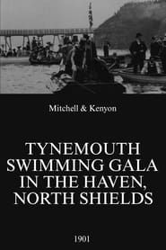 Tynemouth Swimming Gala in the Haven, North Shields (1901)