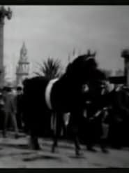 Horse Parade at the Pan-American Exposition (1901)
