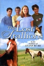 The Lost Stallions series tv