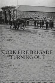 Image Cork Fire Brigade Turning Out