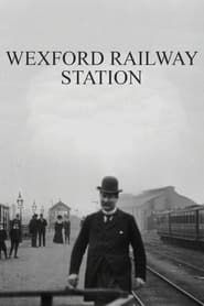 Image Wexford Railway Station 1902