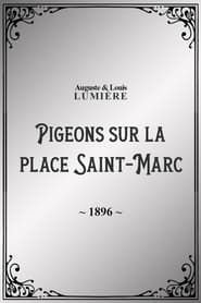 Image Pigeons sur la place Saint-Marc