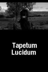 Image Tapetum Lucidum