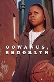 Gowanus, Brooklyn series tv