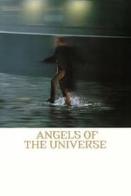 Image Angels of the Universe 2000