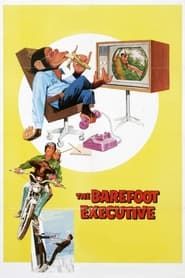 The Barefoot Executive series tv