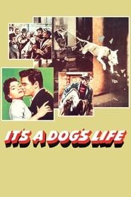 It's a Dog's Life series tv