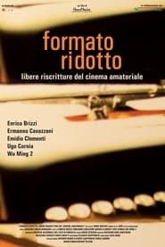 Formato ridotto - Libere riscritture del cinema amatoriale (2013)