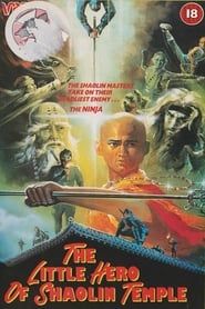 Image The Little Hero of Shaolin Temple 1972