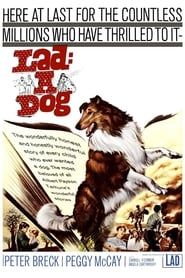 Lad: A Dog series tv