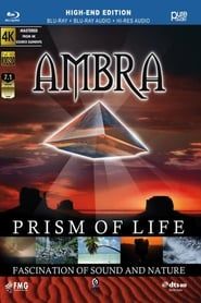 Image Ambra - Prism Of Life 2006