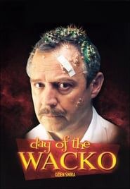 Day of the Wacko series tv