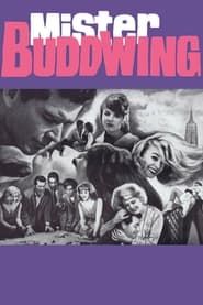 Mister Buddwing 1966 streaming