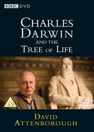 Image Charles Darwin and the Tree of Life 2009