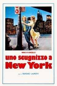 Un Napolitain à New York (1984)