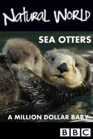 Image Sea Otters: A Million Dollar Baby 2010