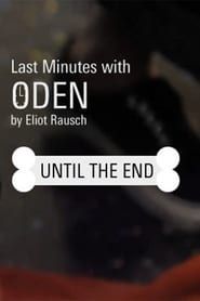 Image Last Minutes with ODEN