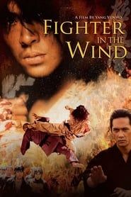 Fighter in the Wind series tv