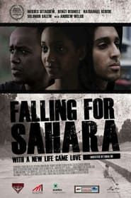 Image Falling for Sahara 2011