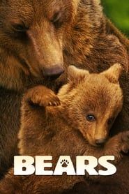 Bears series tv