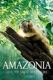 Amazonia 2013 streaming