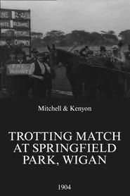 Trotting Match at Springfield Park, Wigan (1904)