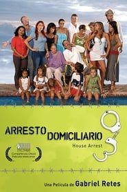 Arresto domiciliario (2008)