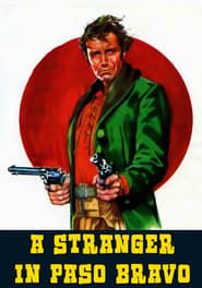 Le pistolero de Paso Bravo (1968)