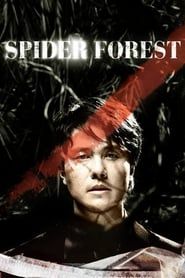 Spider Forest-hd