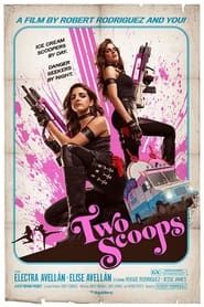Two Scoops (2013)