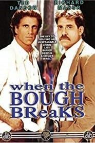 When the Bough Breaks series tv