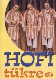 Hofi tükre No.3 (2004)