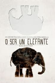 O ser un elefante (2013)