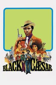Image Black Cesar, le parrain de Harlem 1973