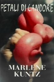 Marlene Kuntz: Petali di Candore (1998)