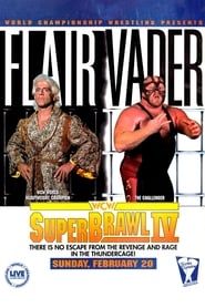WCW SuperBrawl IV-hd