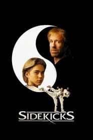 Sidekicks series tv