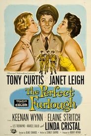The Perfect Furlough series tv