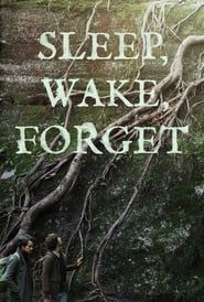 watch Sleep, Wake, Forget