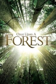 Once Upon a Forest series tv