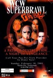 WCW SuperBrawl Revenge series tv