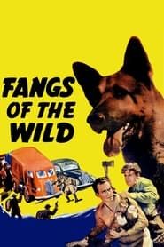 Fangs of the Wild 1939 streaming