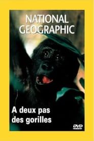 National Geographic : A Deux pas des Gorrilles 2000 streaming