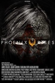 The Phoenix Rises-hd