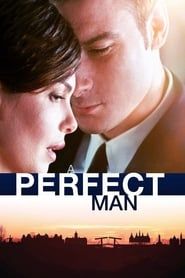 A Perfect Man series tv